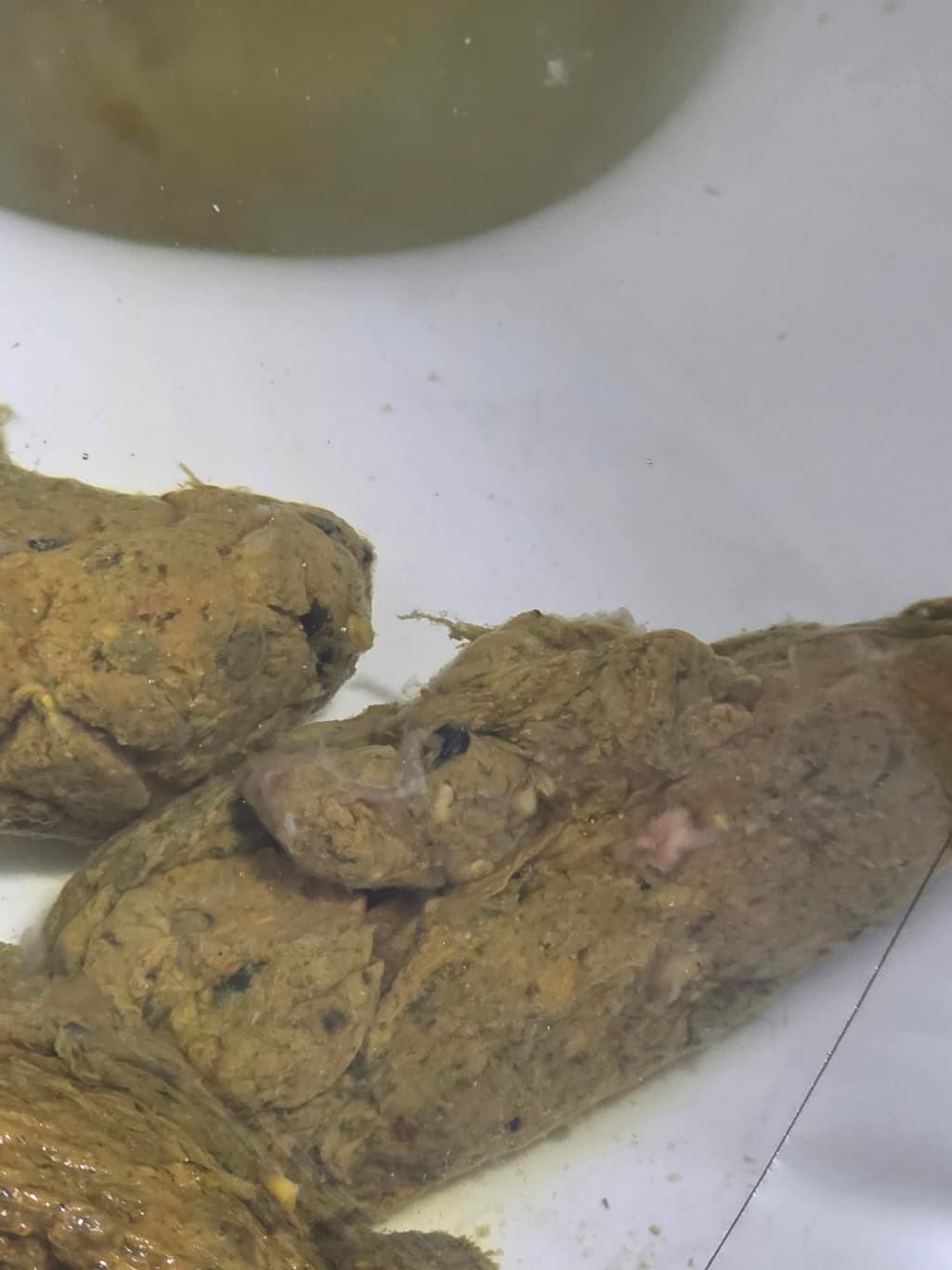 2번 째 사진
