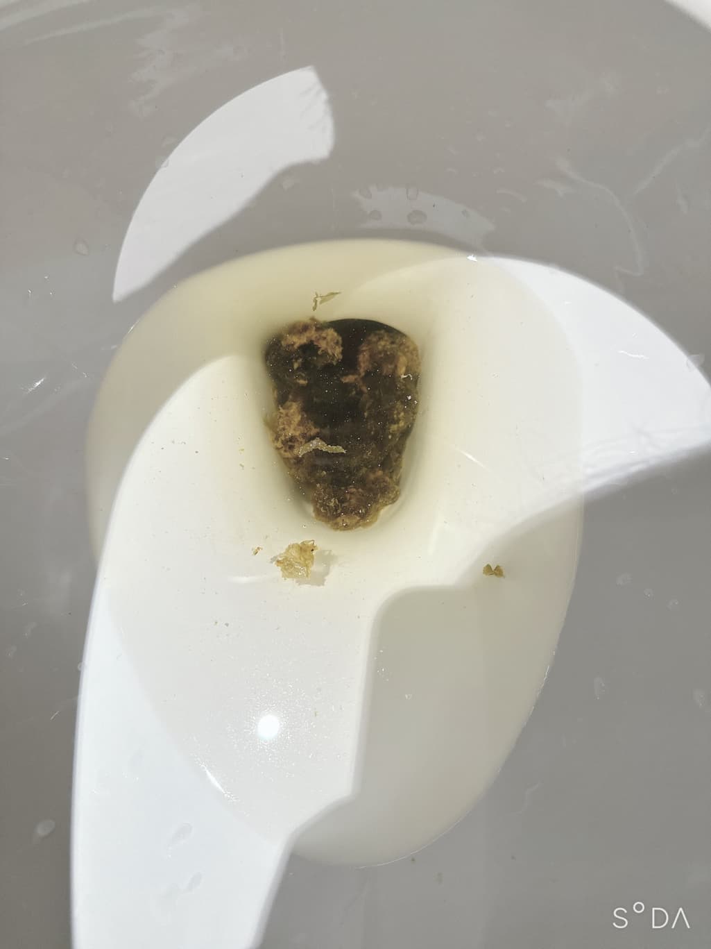 2번 째 사진