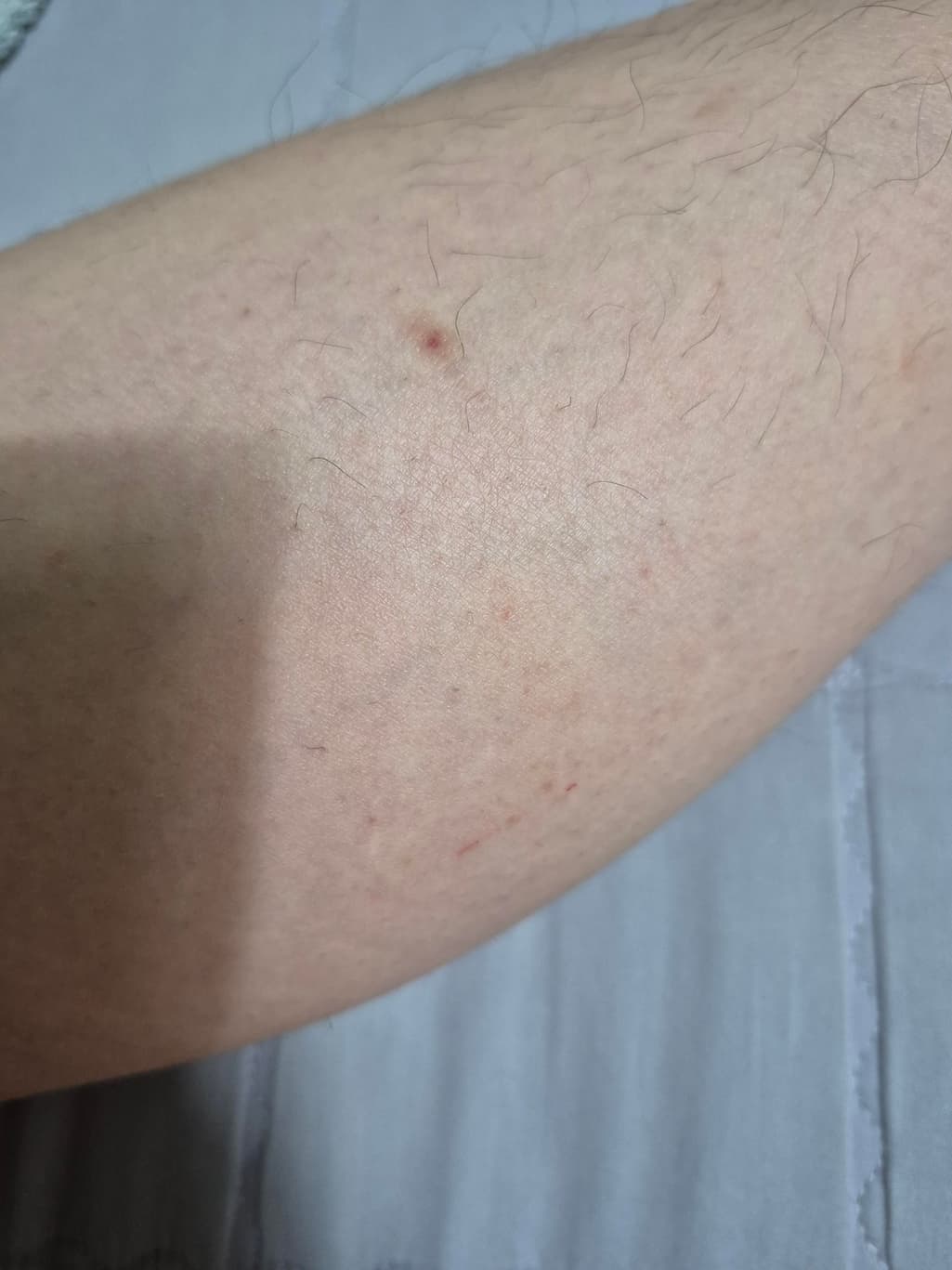 2번 째 사진