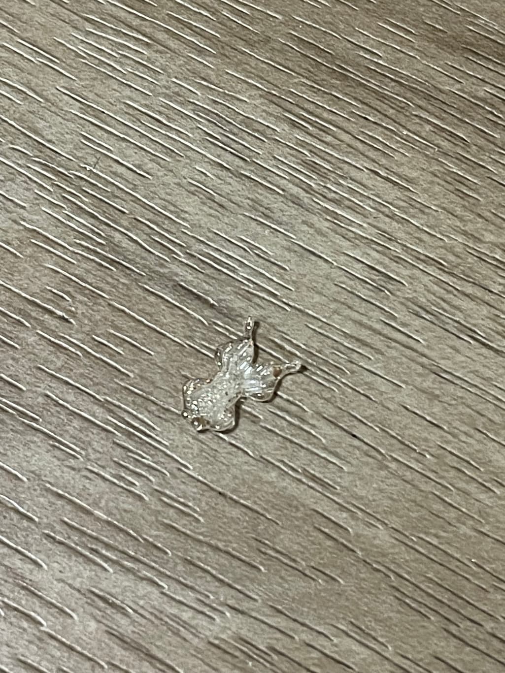 2번 째 사진