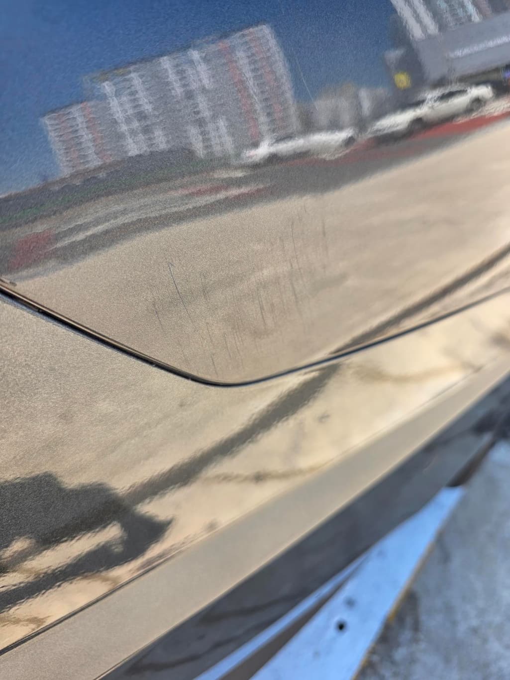 7번 째 사진