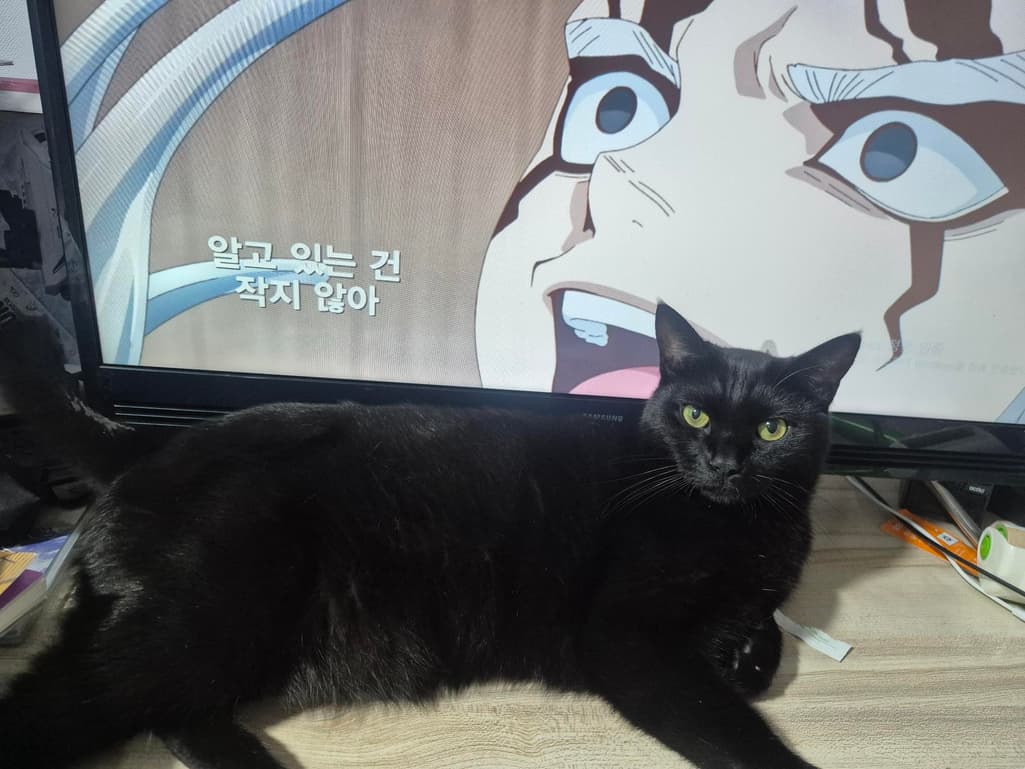 3번 째 사진