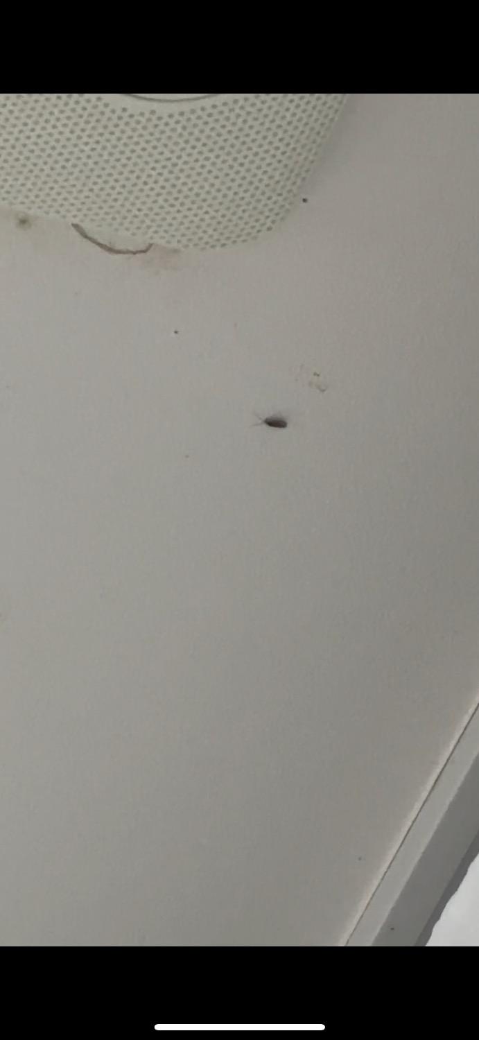2번 째 사진