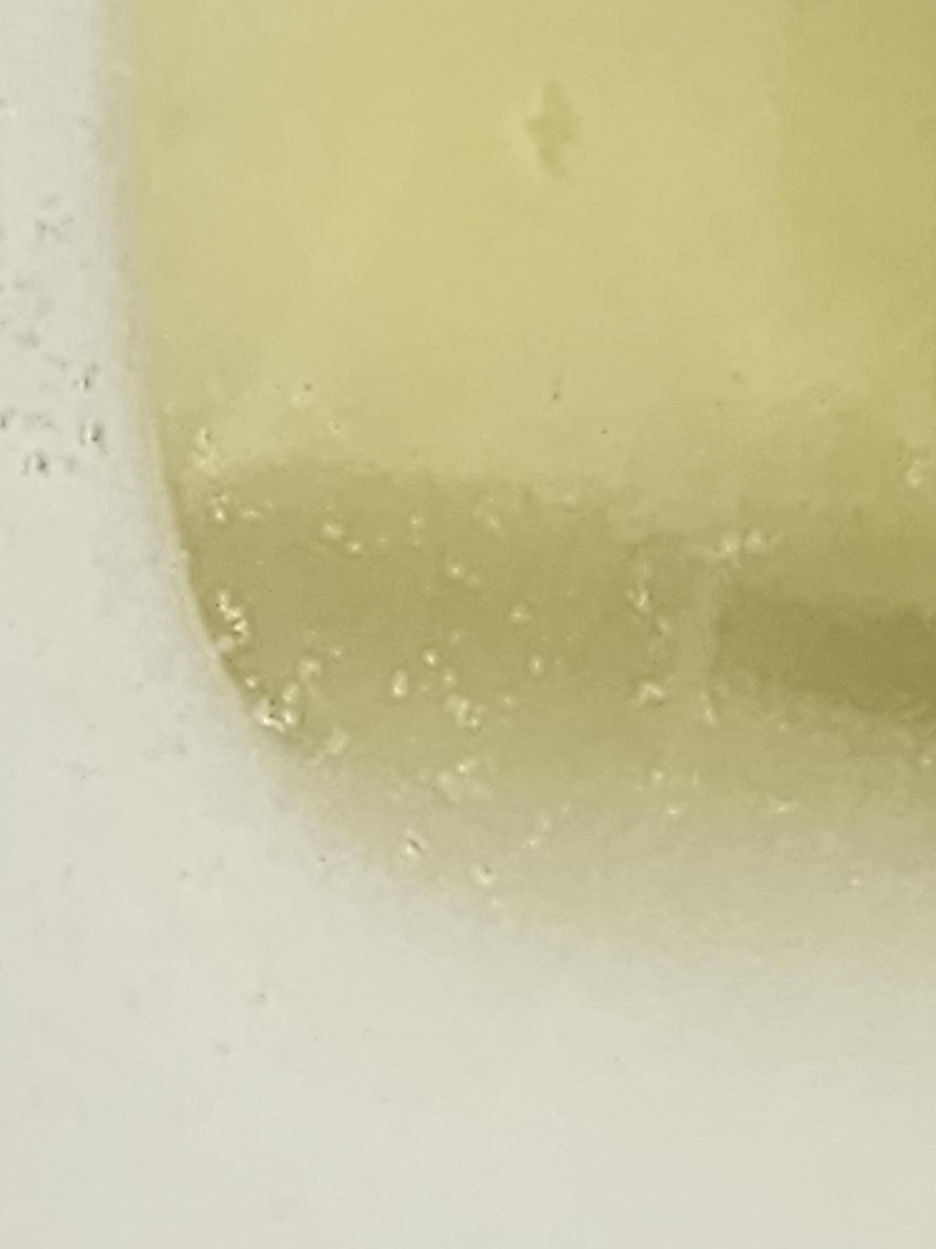 3번 째 사진