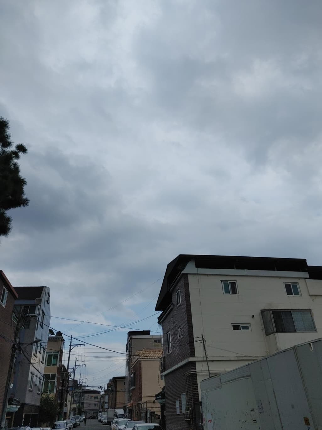 2번 째 사진