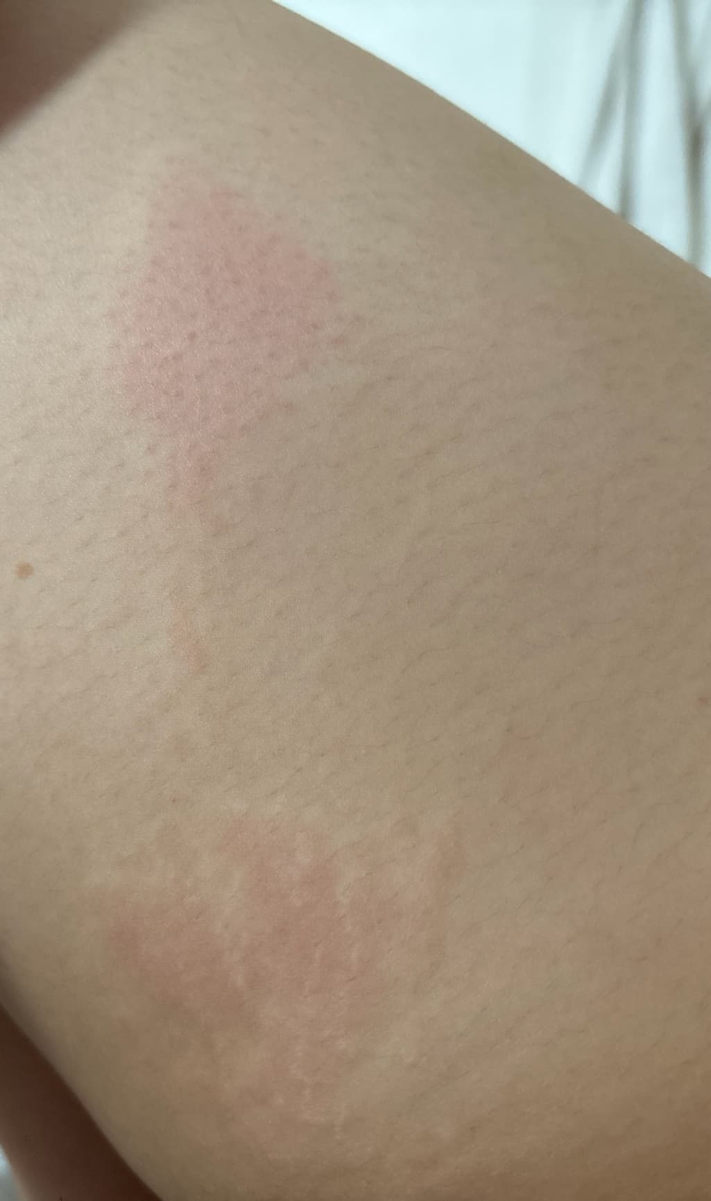 2번 째 사진