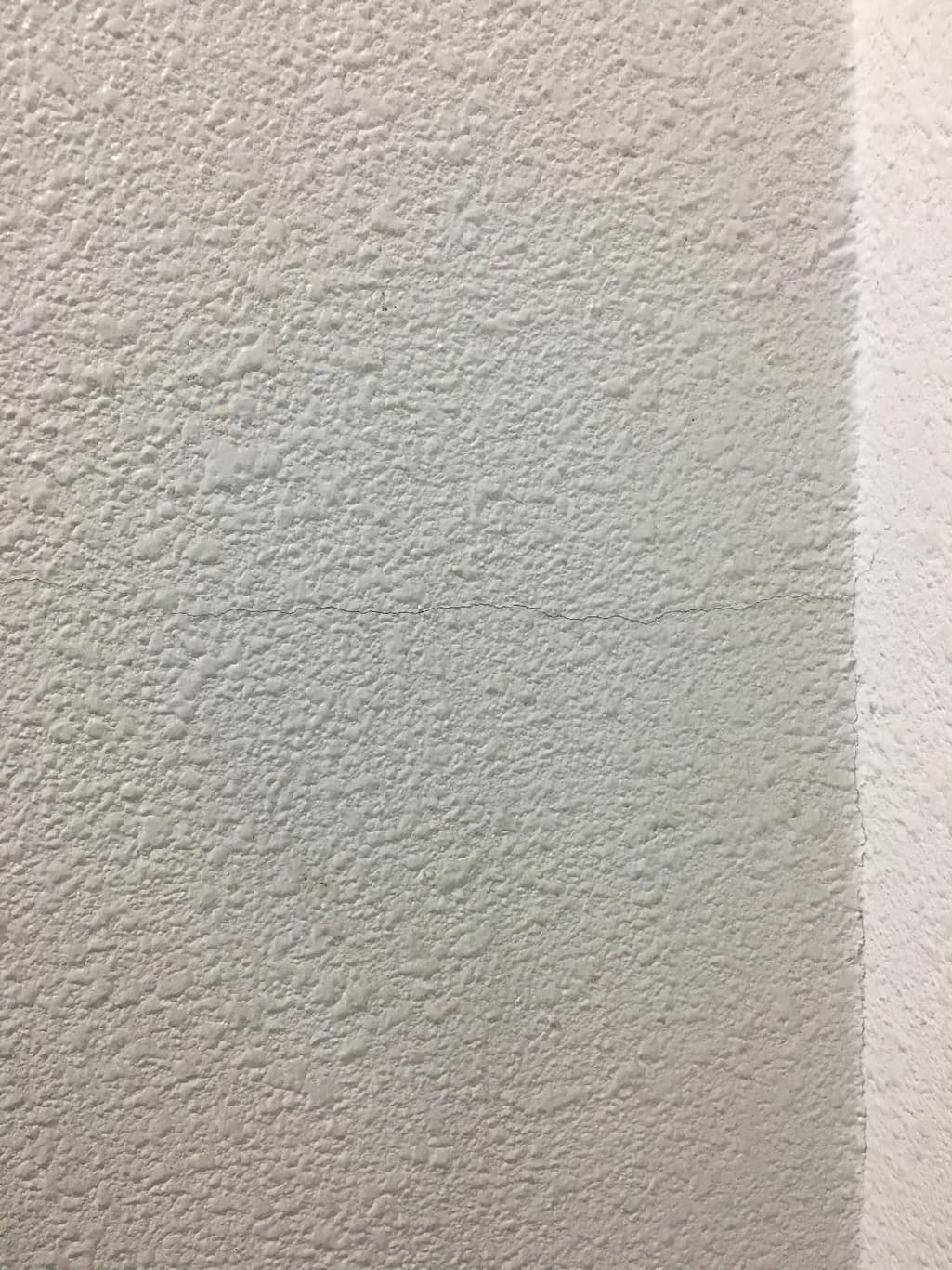 2번 째 사진