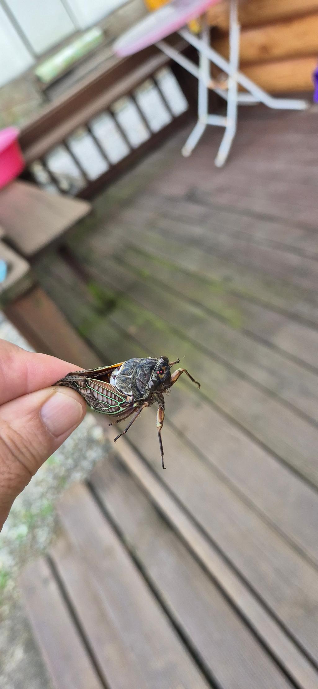1번 째 사진