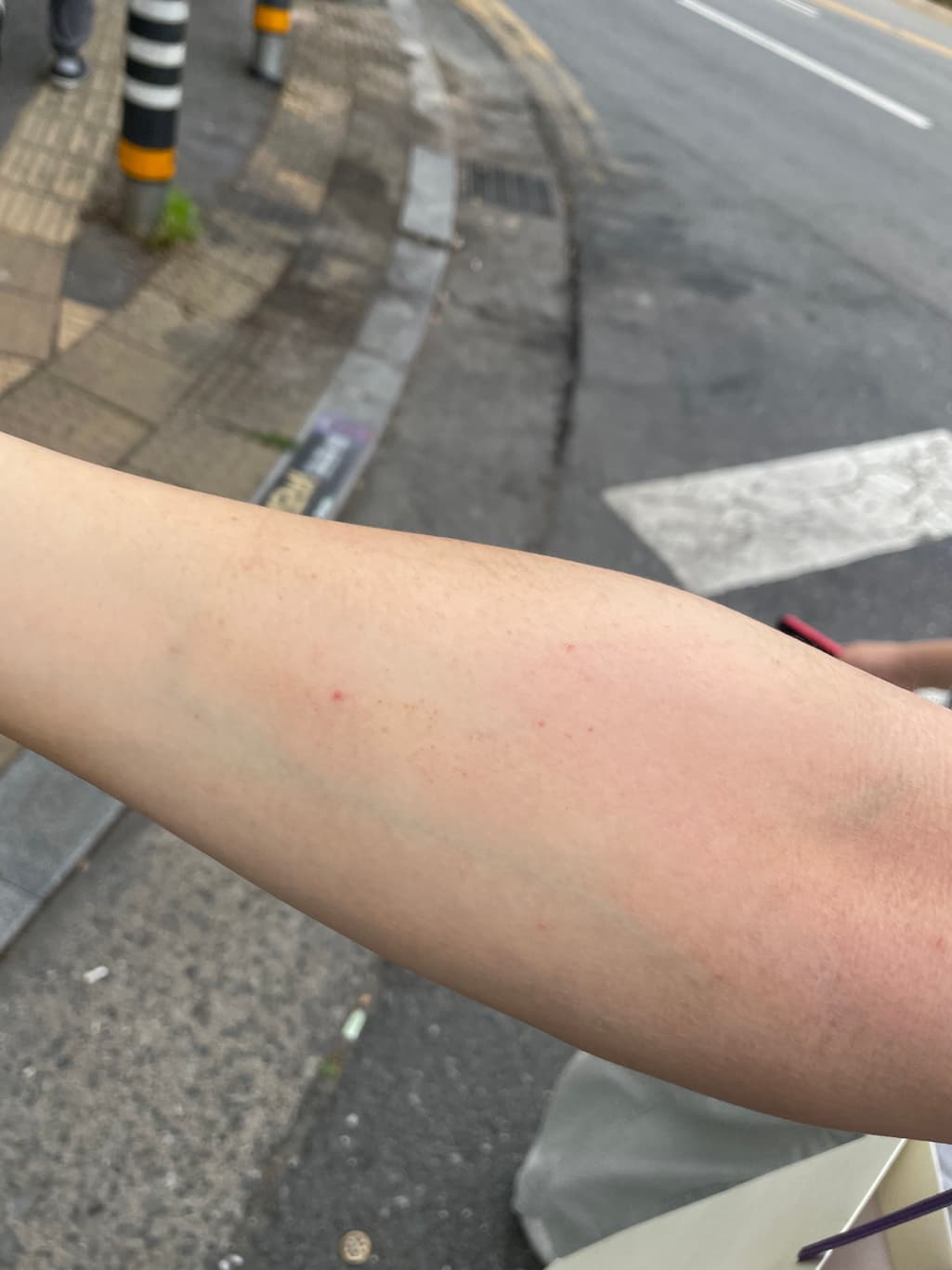 3번 째 사진