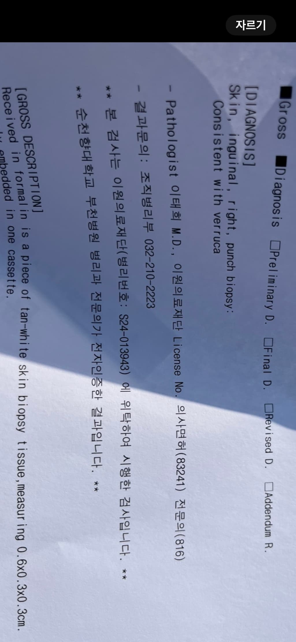 1번 째 사진