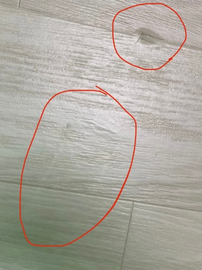 2번 째 사진
