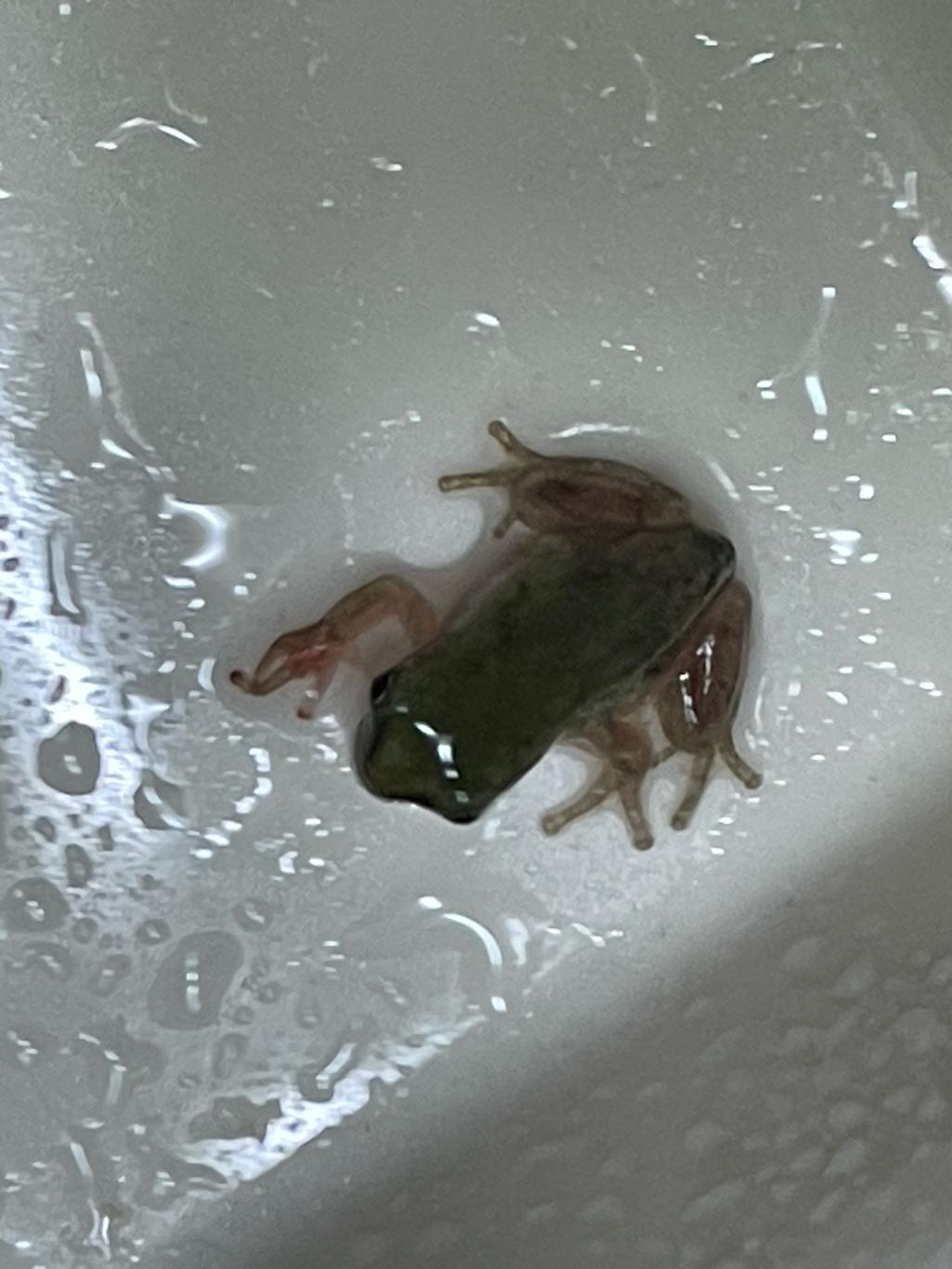 2번 째 사진