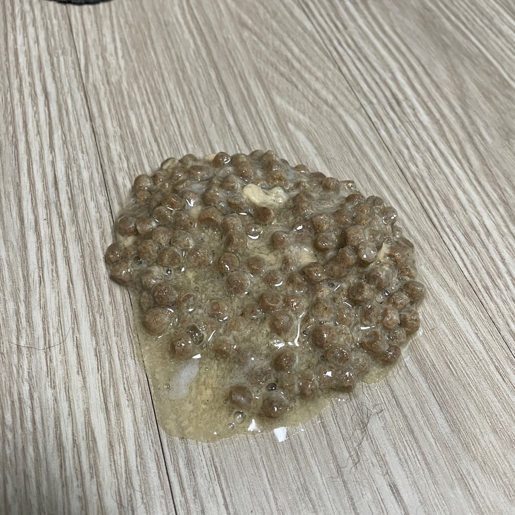 2번 째 사진