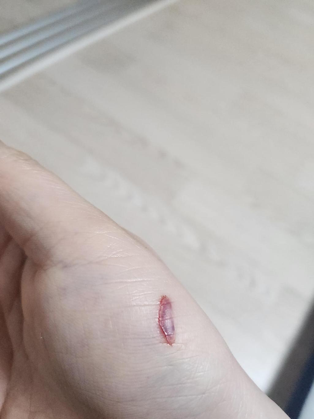 2번 째 사진