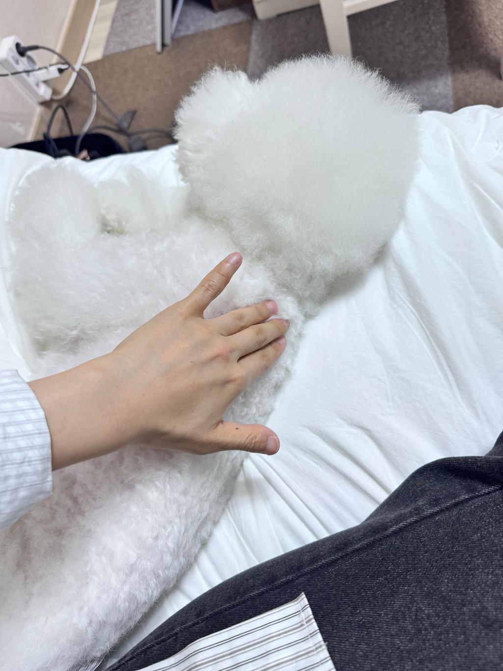 2번 째 사진
