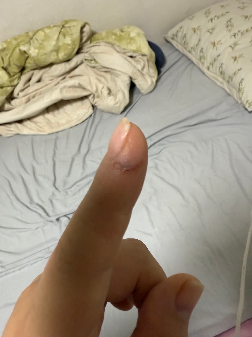 1번 째 사진