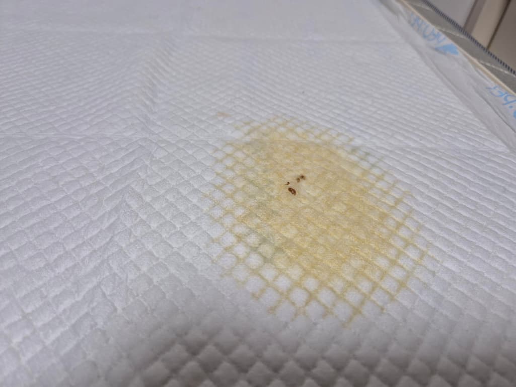 2번 째 사진