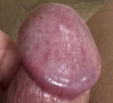 3번 째 사진