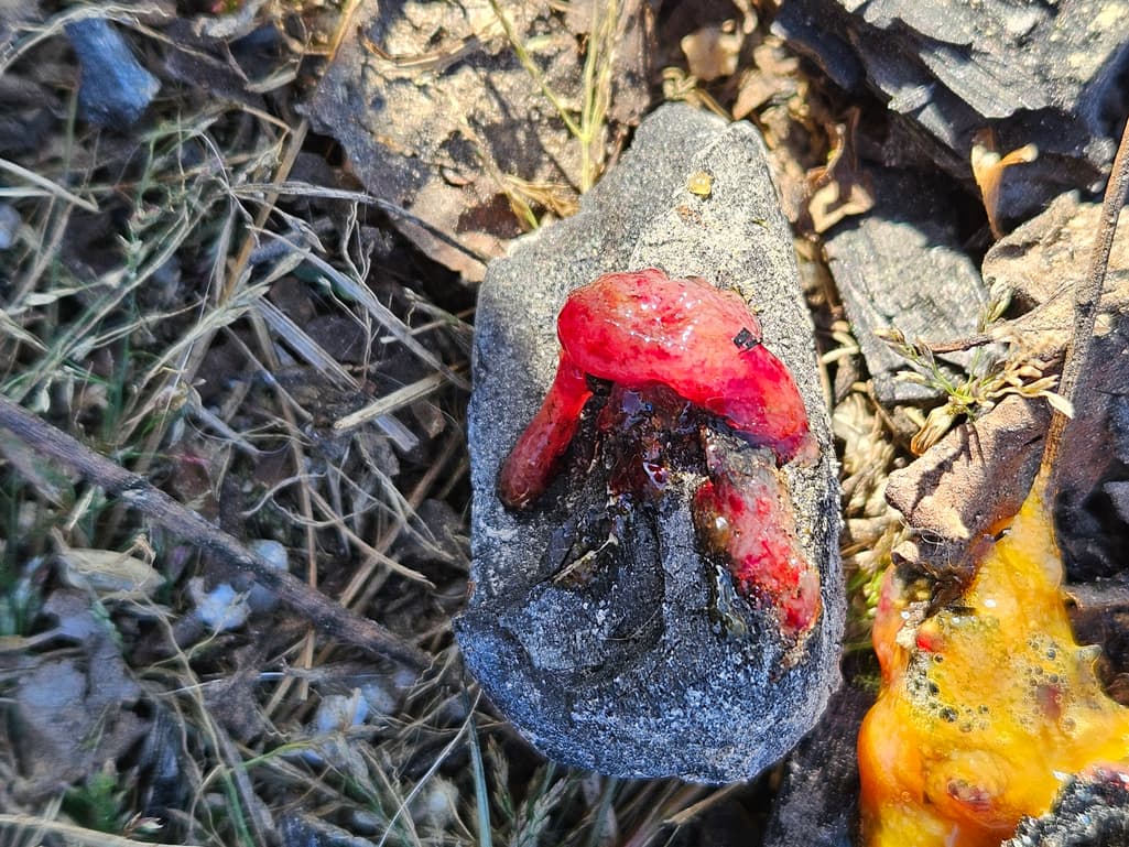 2번 째 사진