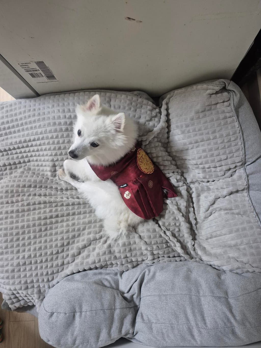 1번 째 사진