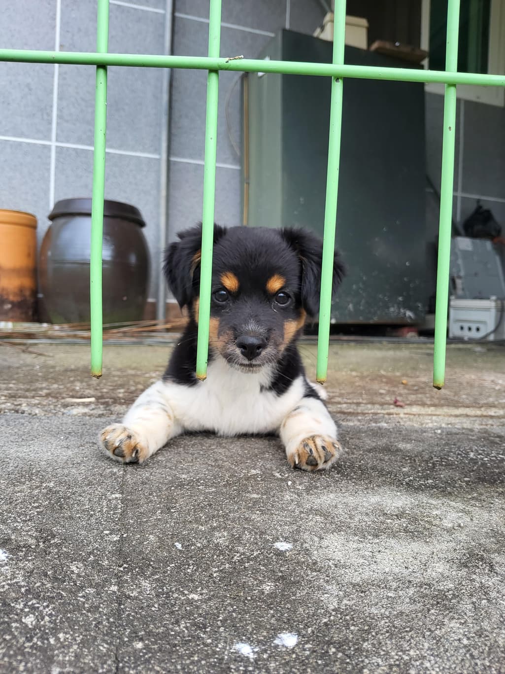 2번 째 사진