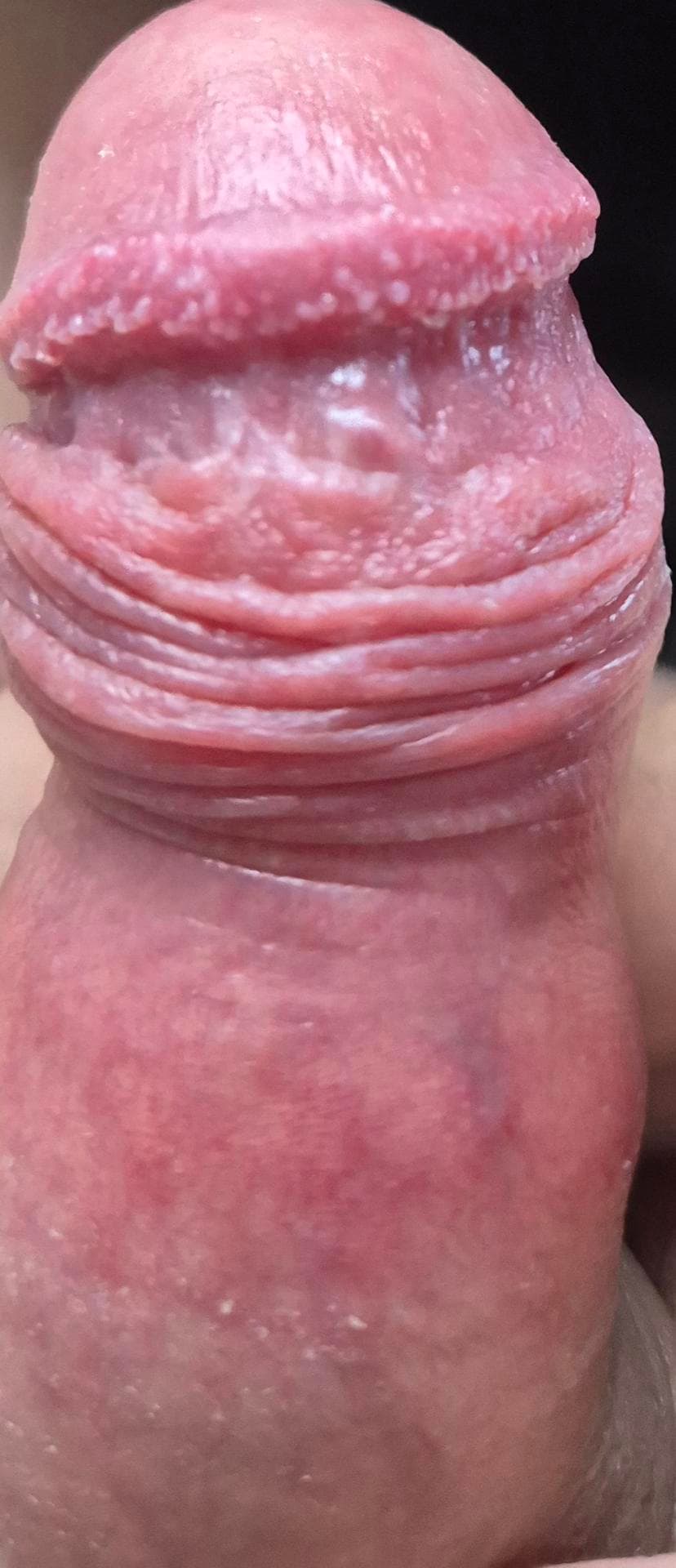 2번 째 사진