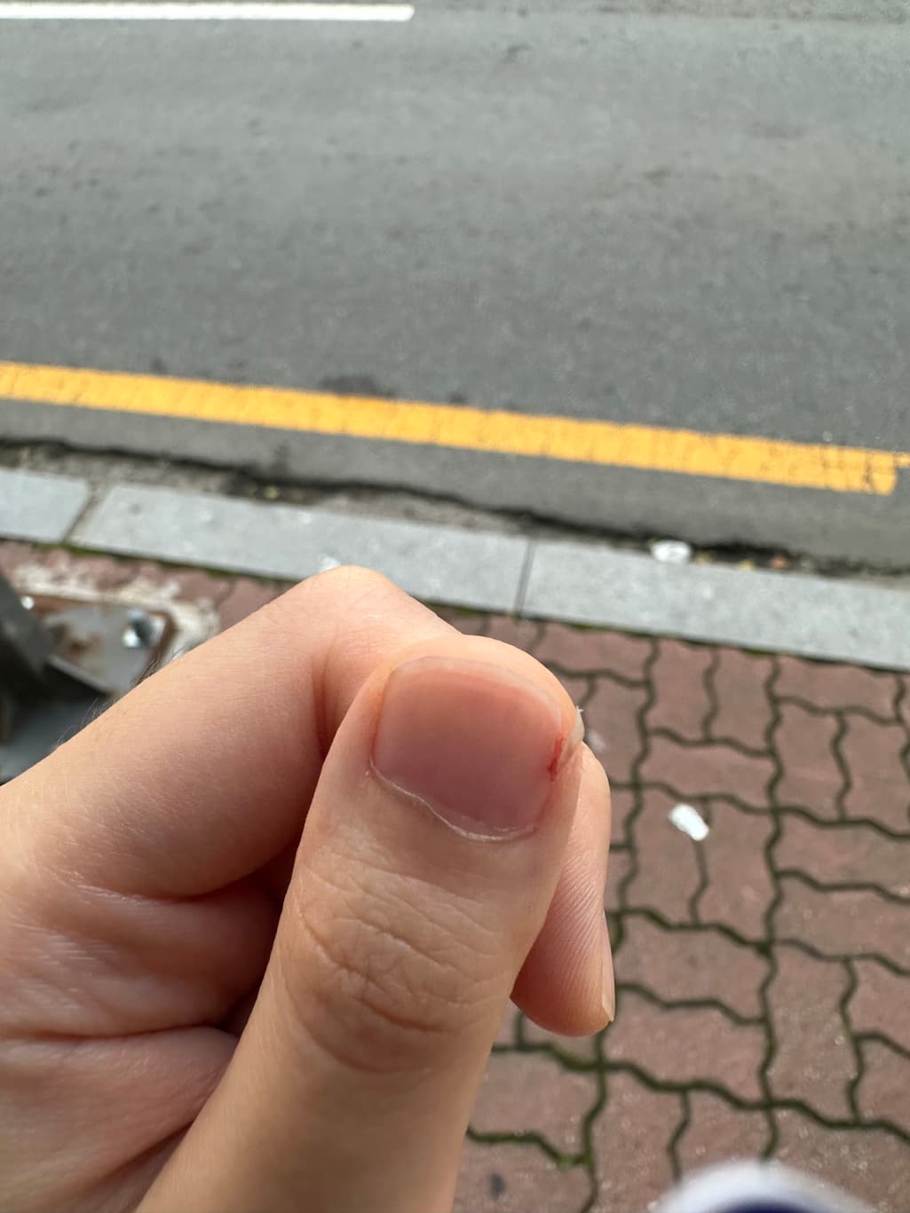 2번 째 사진