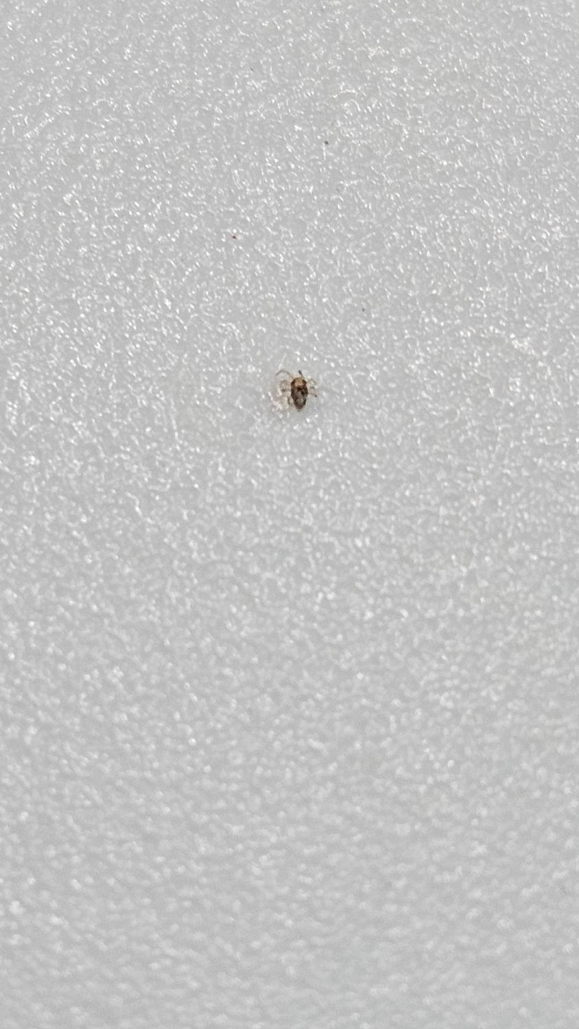 2번 째 사진