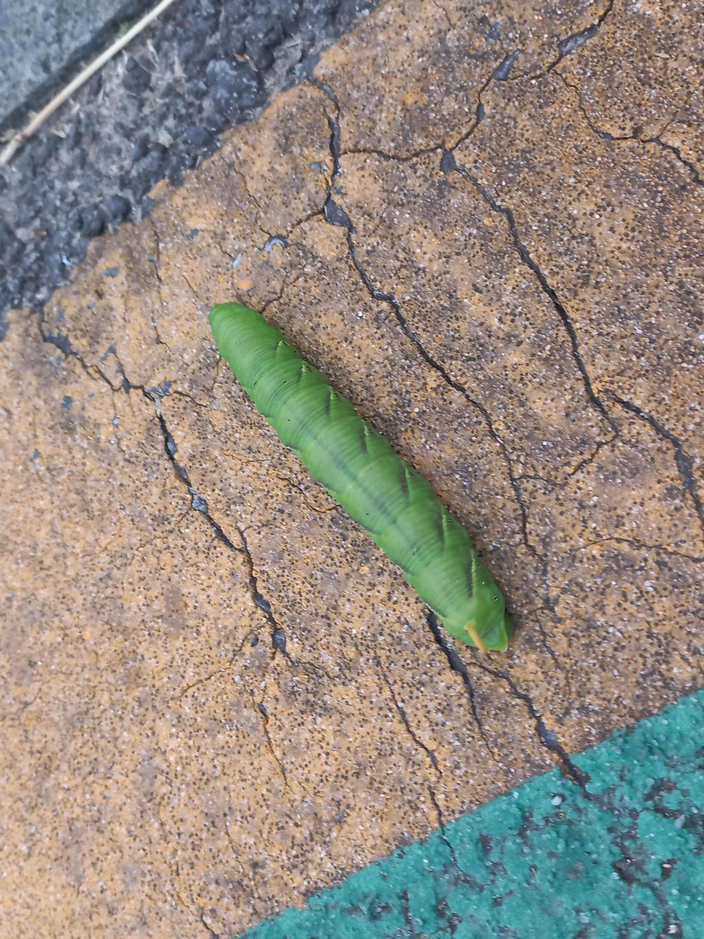 1번 째 사진