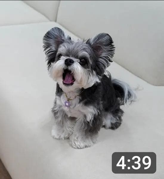 1번 째 사진