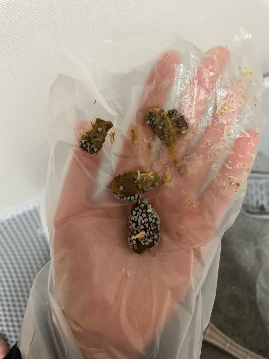 2번 째 사진