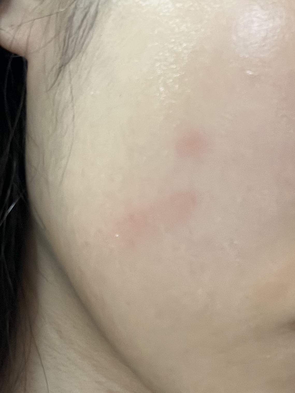 2번 째 사진