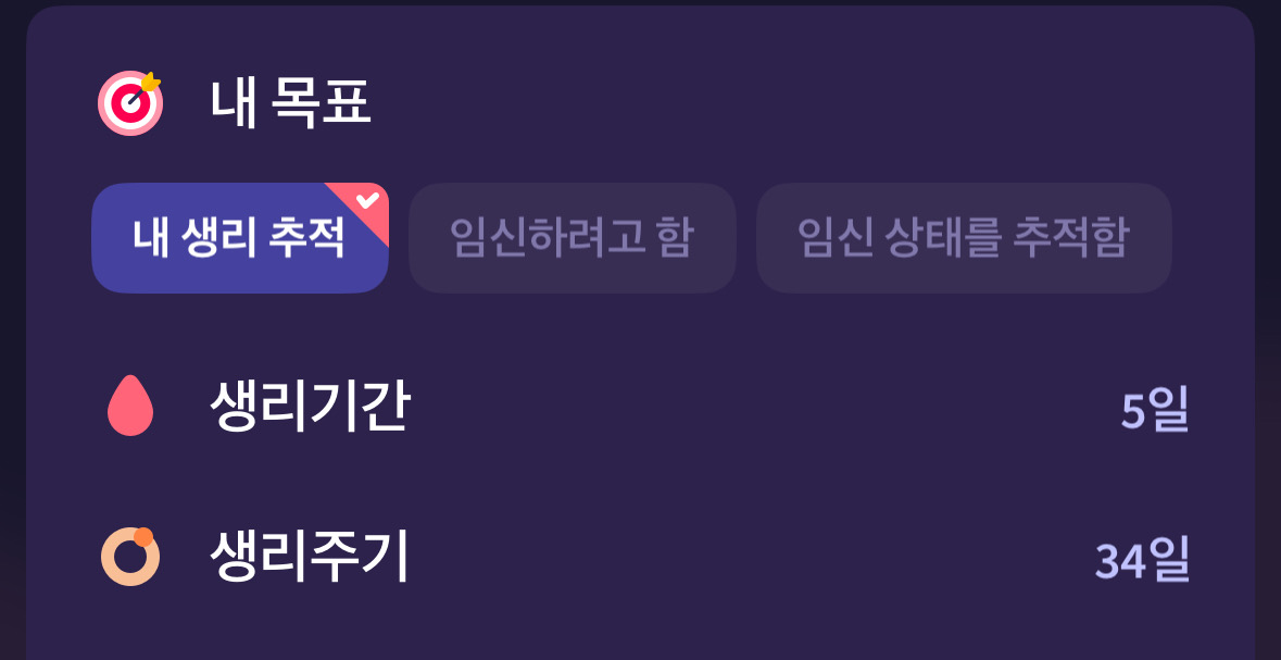 5번 째 사진