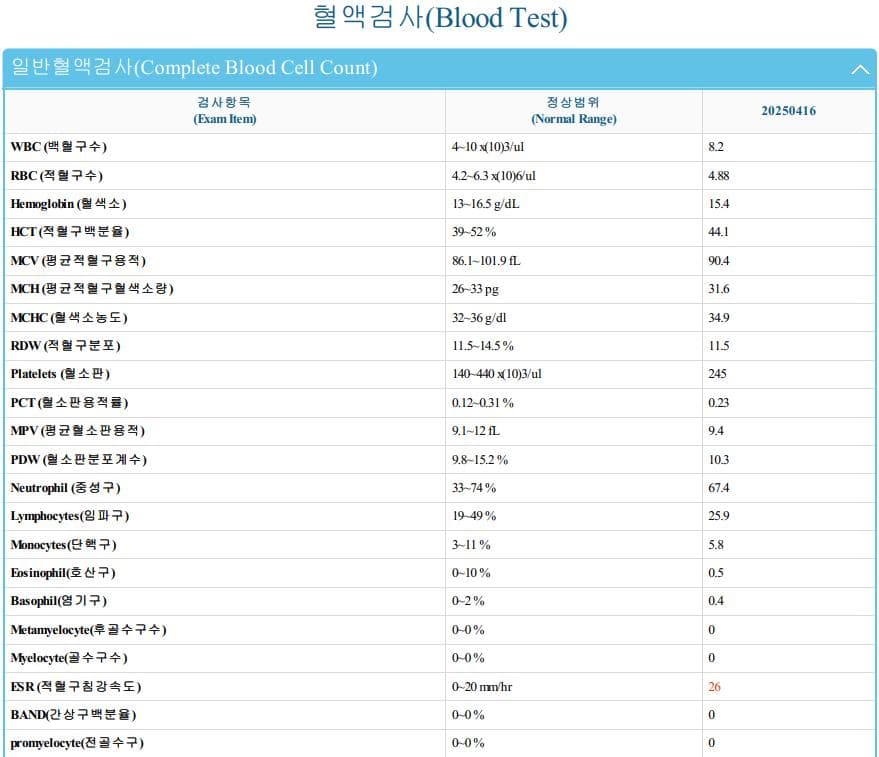 2번 째 사진