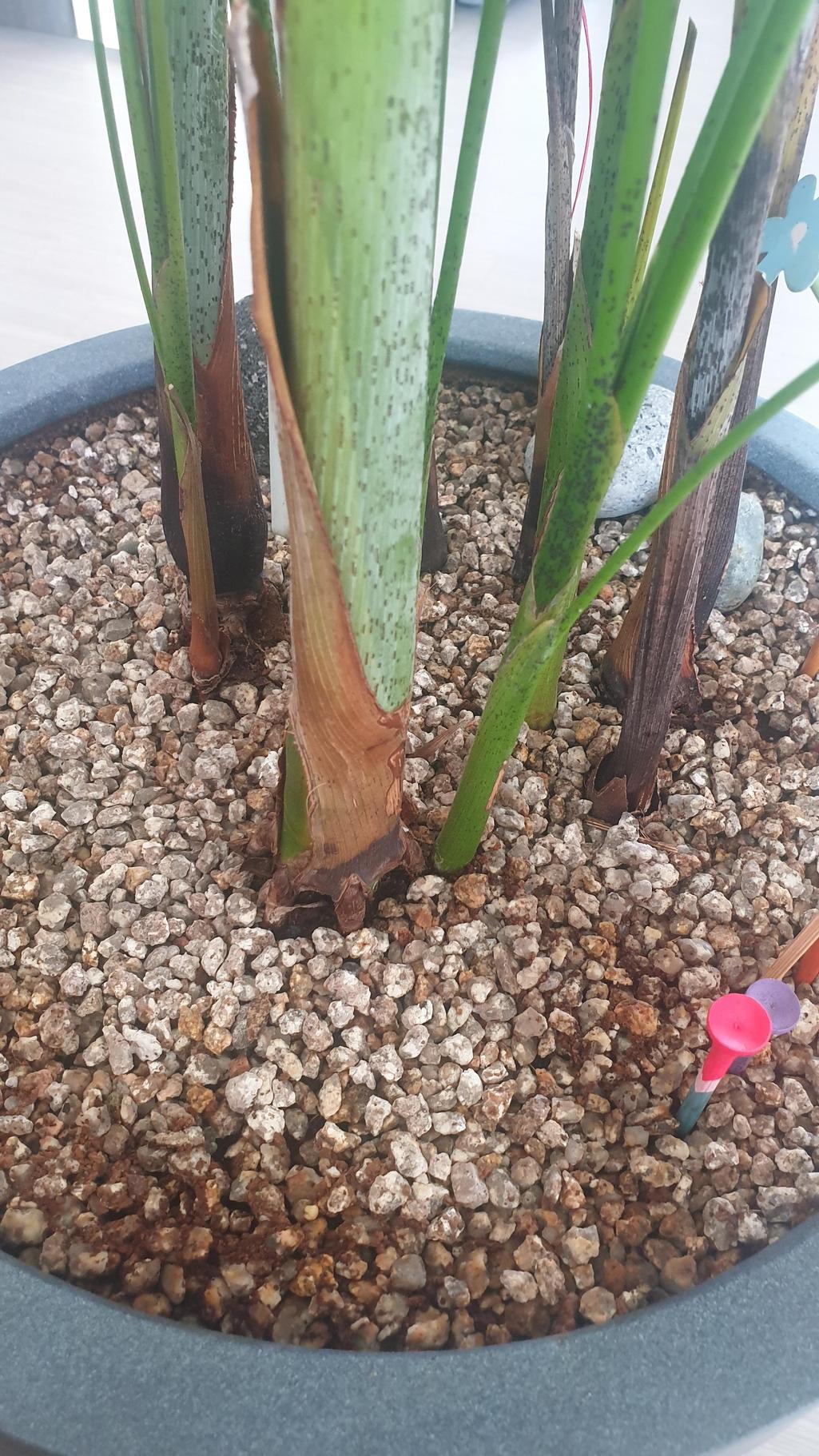 3번 째 사진