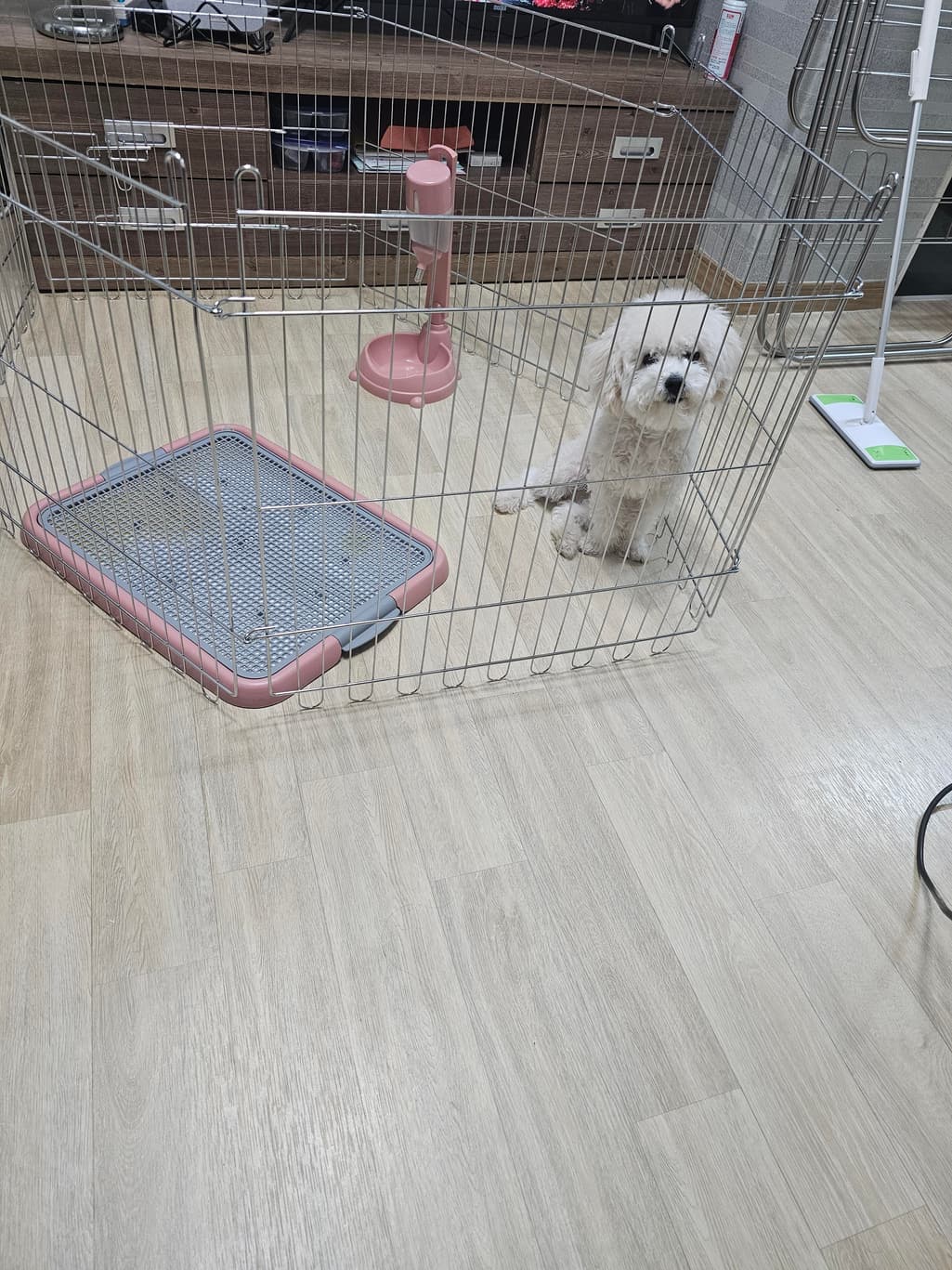 1번 째 사진
