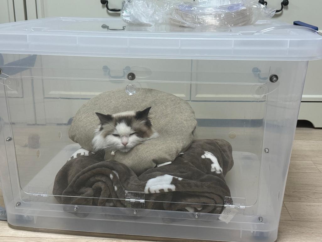 2번 째 사진