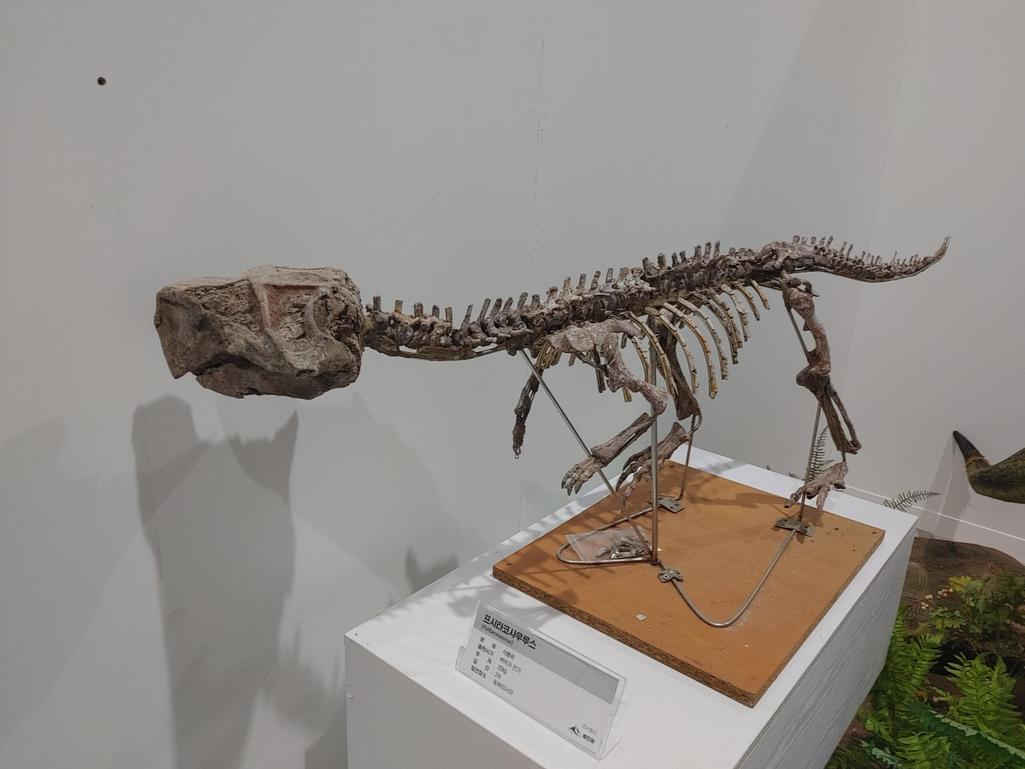 4번 째 사진