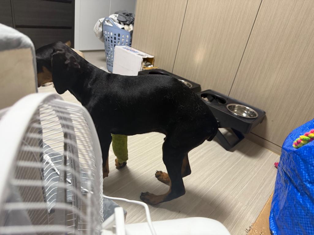 1번 째 사진
