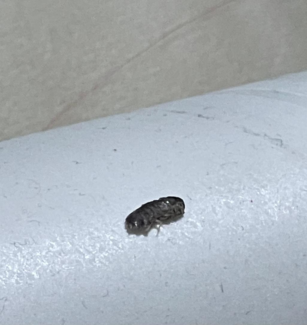 2번 째 사진