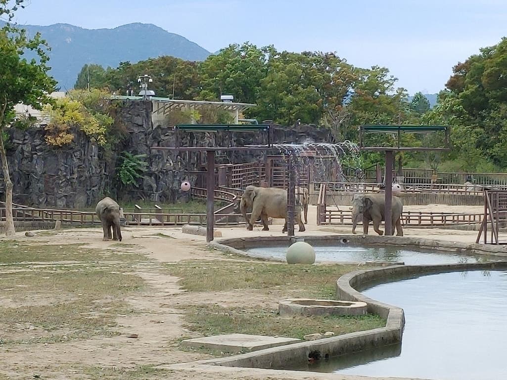 3번 째 사진