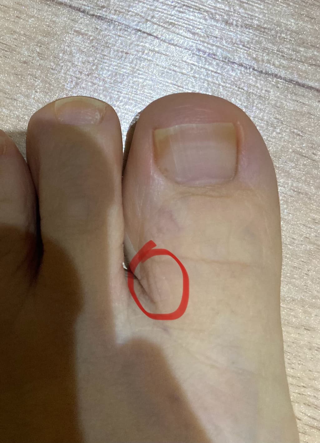 1번 째 사진