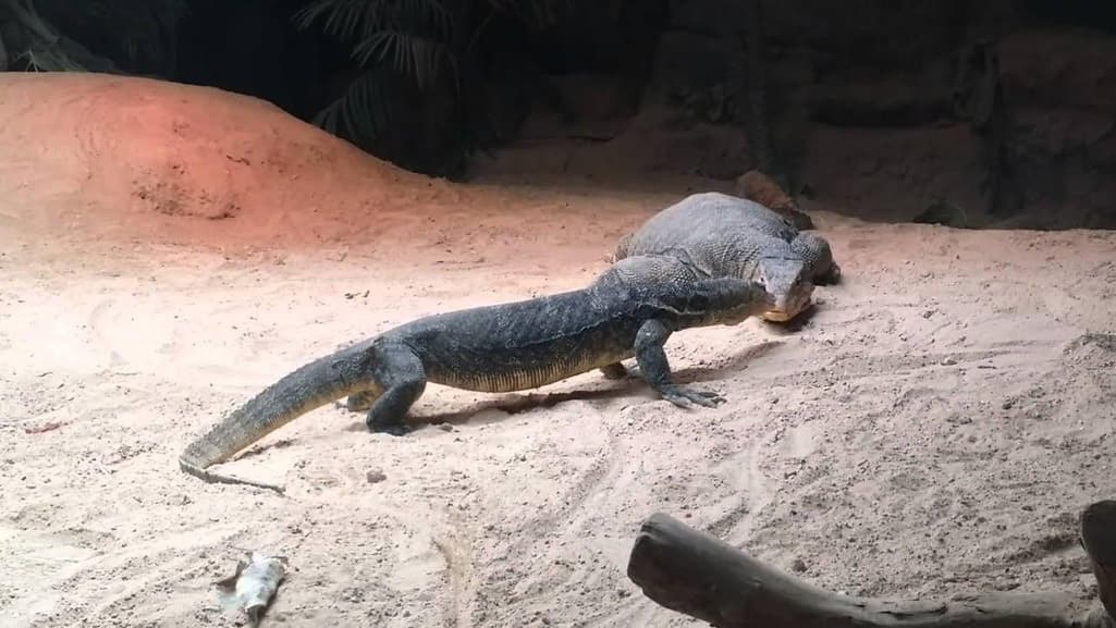 1번 째 사진
