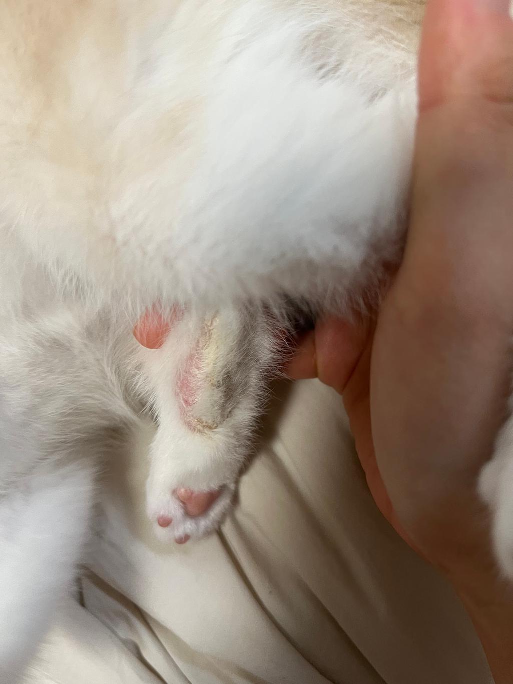 2번 째 사진
