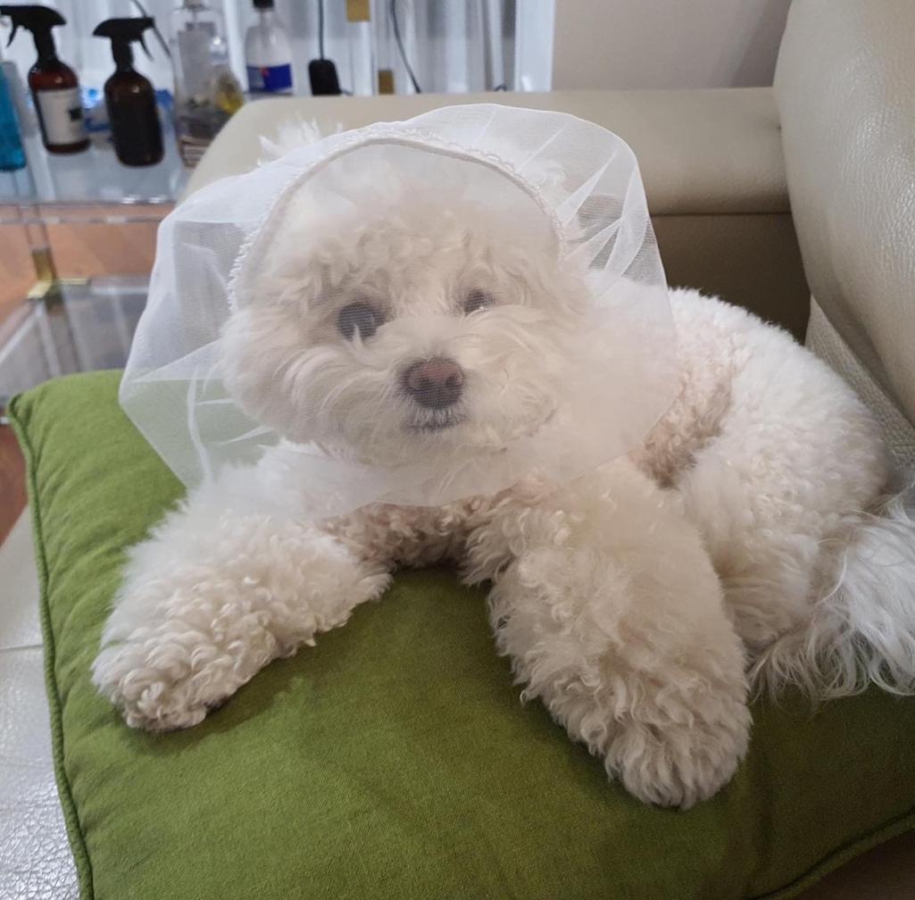 2번 째 사진