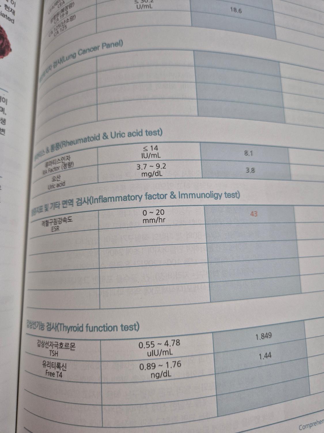 2번 째 사진