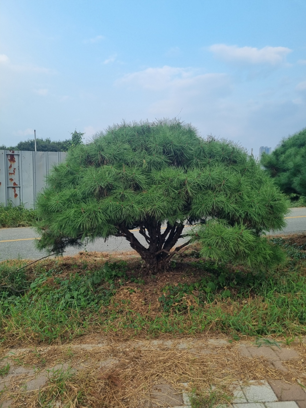 1번 째 사진
