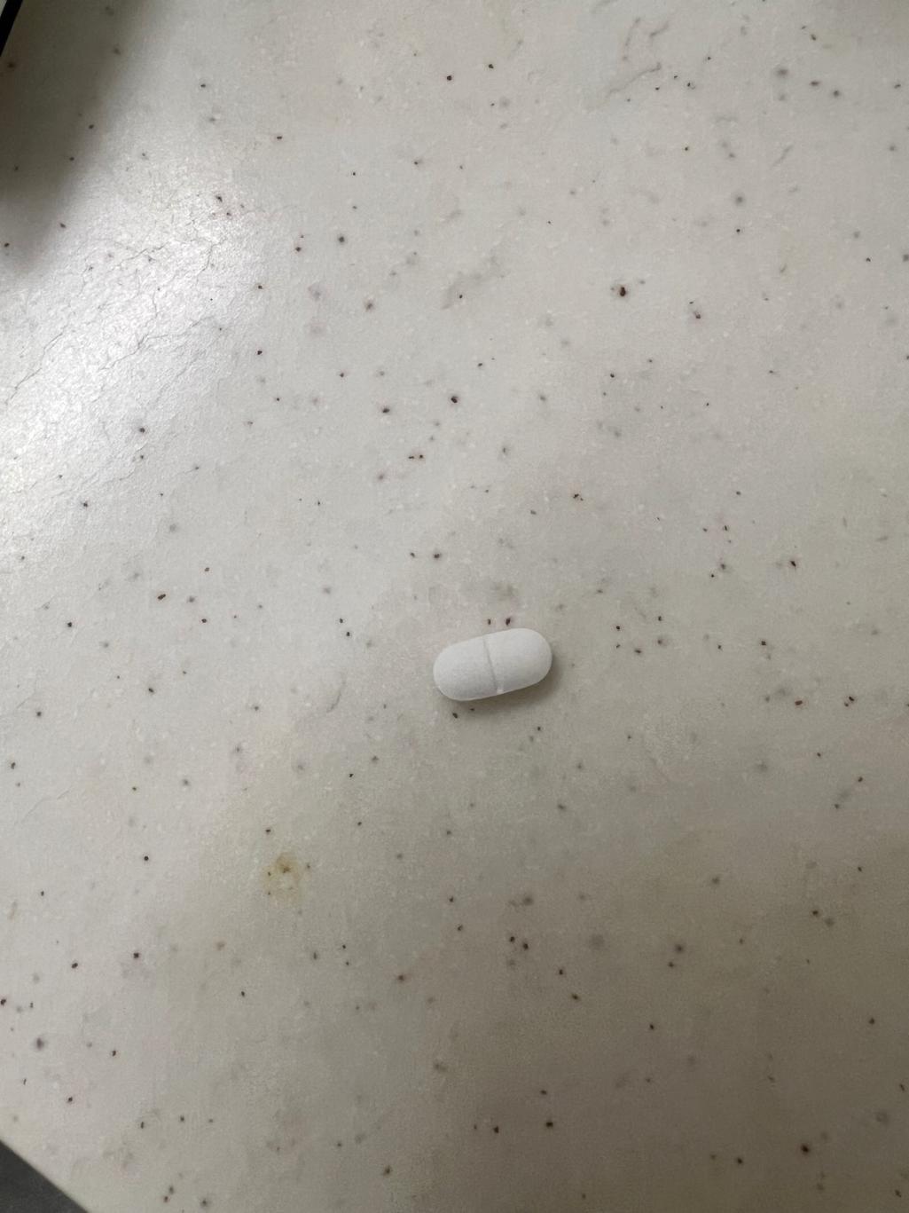 2번 째 사진