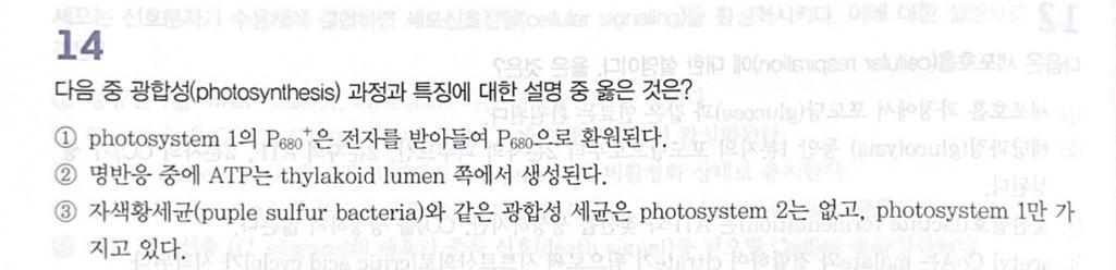 2번 째 사진