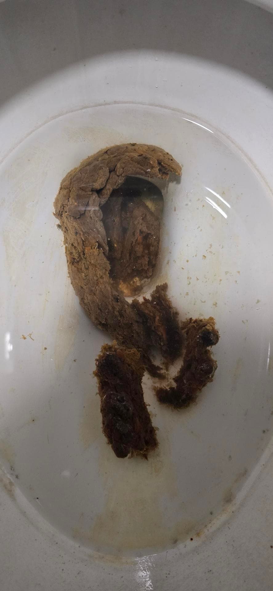 4번 째 사진